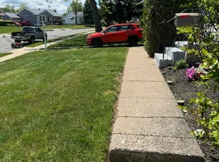 George O.'s grass maintenance service result