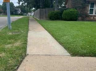Sara S.'s turf care service result