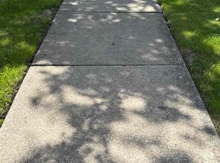 Benjamin C.'s grass maintenance service result