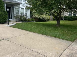 Jennifer N.'s grass maintenance service result