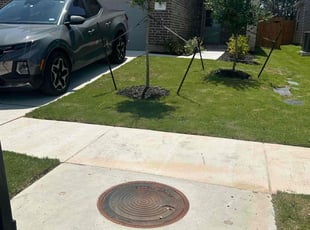 Daniel W.'s grass maintenance service result