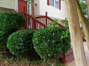 Jarred E.'s Bush Trimming service result