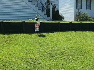 Stephine S.'s grass cutting service result