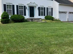 Cassie H.'s lawn maintenance service result