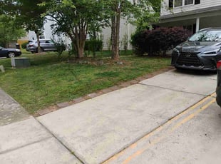 Nicole D.'s lawn service service result