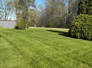 Howard S.'s turf care service result