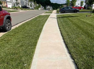 Robert B.'s lawn service service result