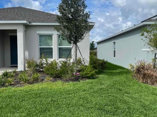 Birgetta H.'s lawn care service result