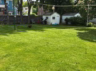 Keri L.'s turf maintenance service result