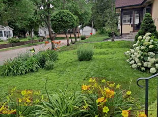 Dinah O.'s lawn maintenance service result