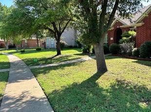 Chandrakant D.'s lawn maintenance service result