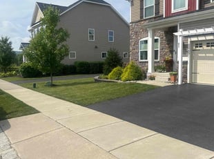 Todd L.'s turf care service result