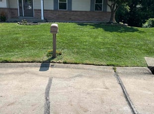 Annmarie S.'s grass cutting service result