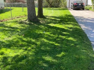 Brendan D.'s lawn maintenance service result