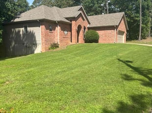 Dale D.'s turf maintenance service result