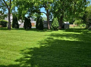 Karen B.'s lawn maintenance service result