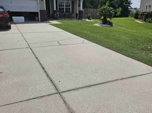 Karlene S.'s lawn care services service result