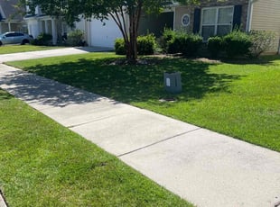 Courtney G.'s lawn care service result