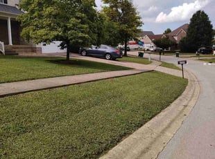 Susana A.'s lawn care service result