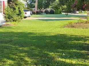 Angela M.'s lawn care service result