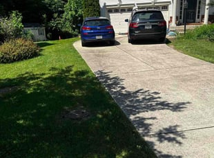 Angela S.'s lawn maintenance service result