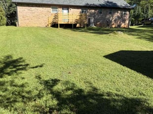 Jim V.'s turf care service result