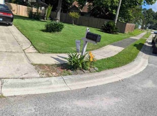 Joseph M.'s grass maintenance service result