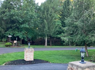 Noel P.'s lawn service service result