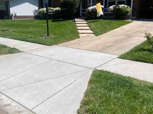 Ebony W.'s turf care service result