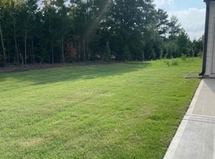 David M.'s lawn care service result