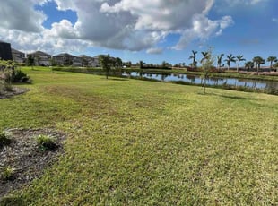 Dennis H.'s lawn maintenance service result