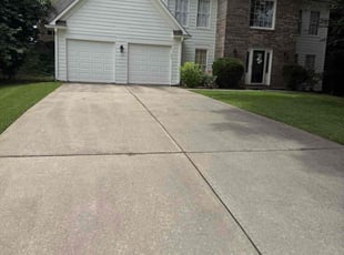 Alisha R.'s Bush Trimming service result