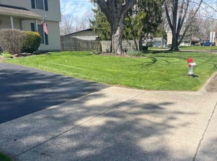Susan S.'s lawn maintenance service result