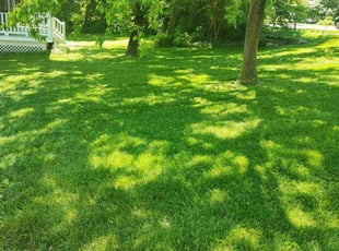 Kareem W.'s lawn care services service result