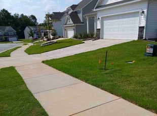 Danielle H.'s lawn care service result