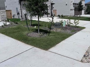 Jensen S.'s grass maintenance service result