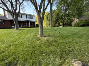 Mark M.'s lawn care service result