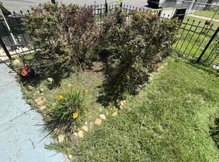 Ron S.'s Bush Trimming service result