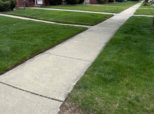 Lief E.'s grass maintenance service result