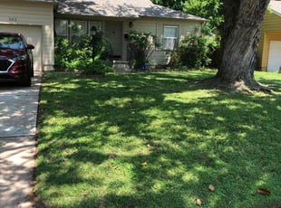 Keoni J.'s yard work service result