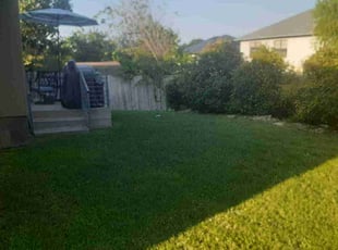 Steve G.'s grass cutting service result