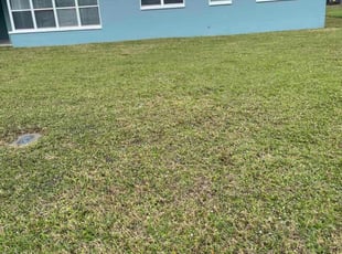 Jacquelyn W.'s grass maintenance service result