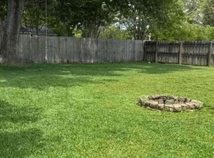 Coleen P.'s yard service service result