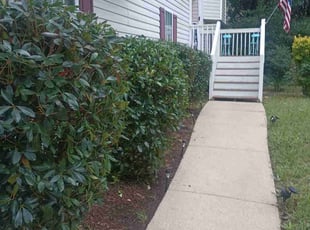 Anthony B.'s Bush Trimming service result