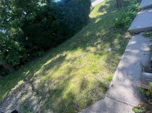 Lori M.'s turf maintenance service result
