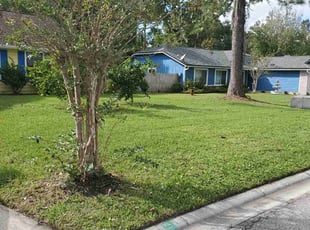Steve S.'s lawn service service result