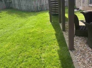 Emmett W.'s lawn service service result