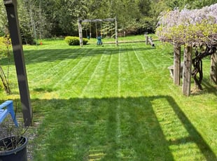 Jenai W.'s grass maintenance service result