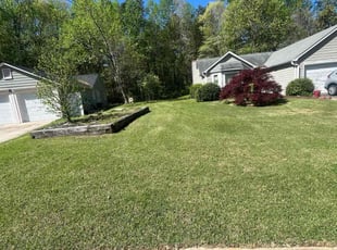 Camille A.'s lawn care service result