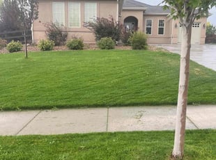 Danish S.'s lawn service service result